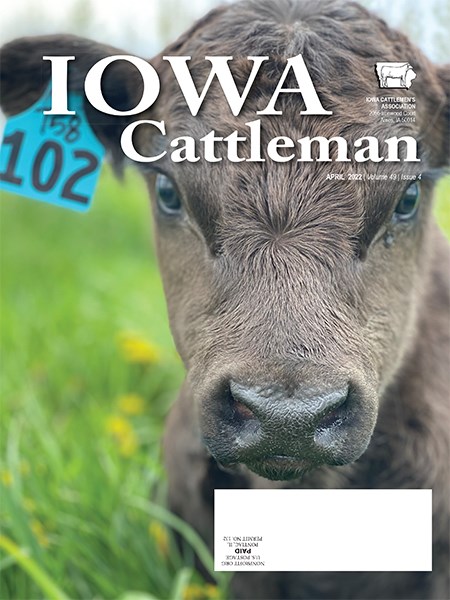 Iowa Sportsman Magazine - American Cattlemen