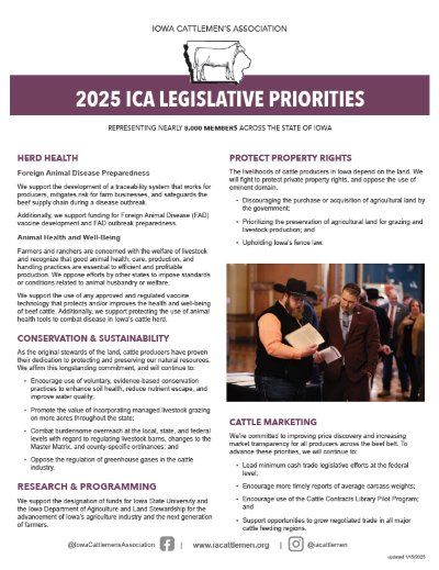 2025 Policy Priorities Small